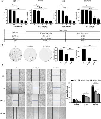 Withametelin inhibits TGF-β induced Epithelial-to-Mesenchymal Transition and Programmed-Death Ligand-1 expression in vitro